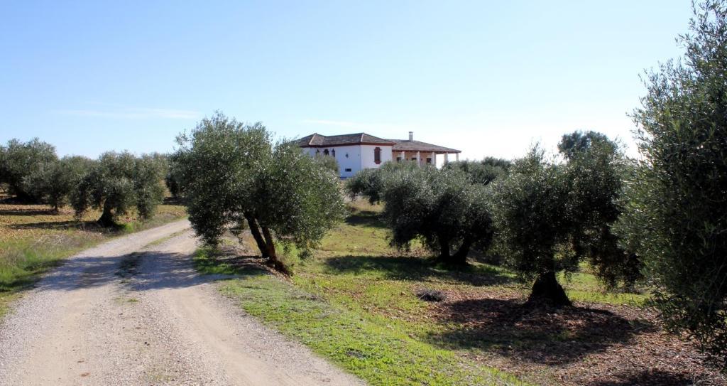 Casa Rural La Serrana La Carlota Esterno foto